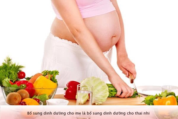 Bổ sung dinh dưỡng cho mẹ là bổ sung dinh dưỡng cho thai nhi