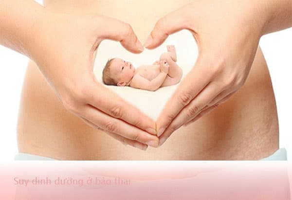 Suy dinh dưỡng ở bào thai