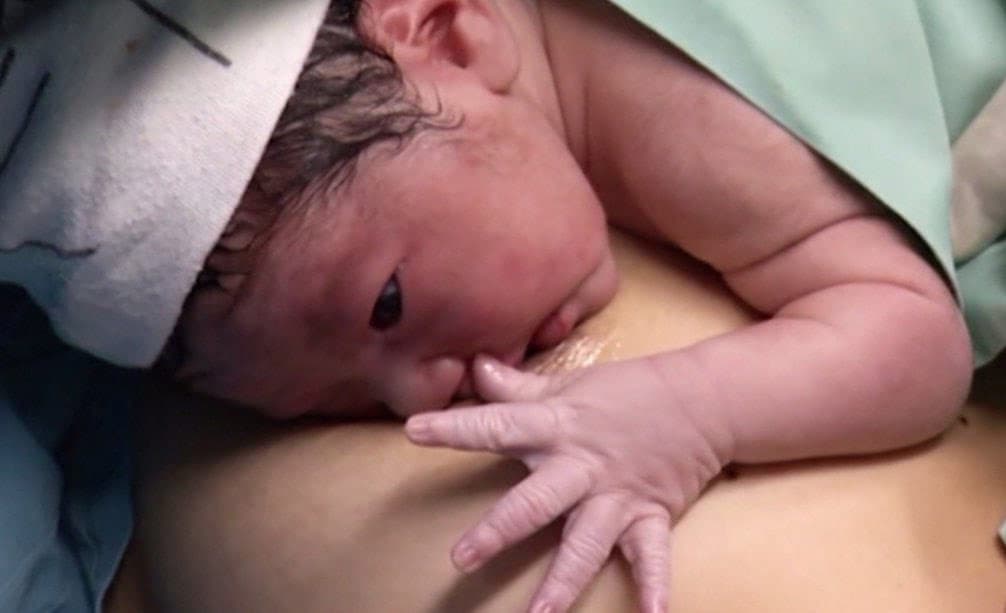 Sinh tự nhiên có thể nhanh chóng tiếp xúc với con