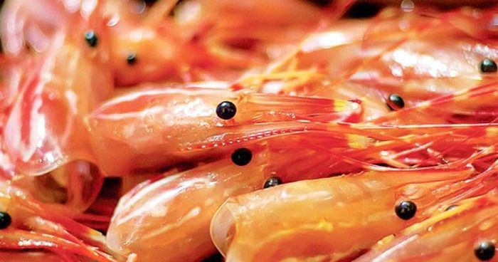 phát triển chiều csao