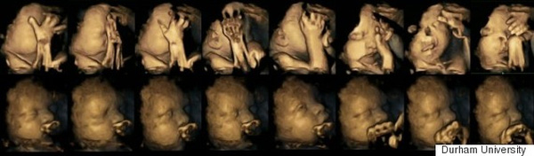 Tác hại của thuốc lá với thai nhi hít phải khói thuốc