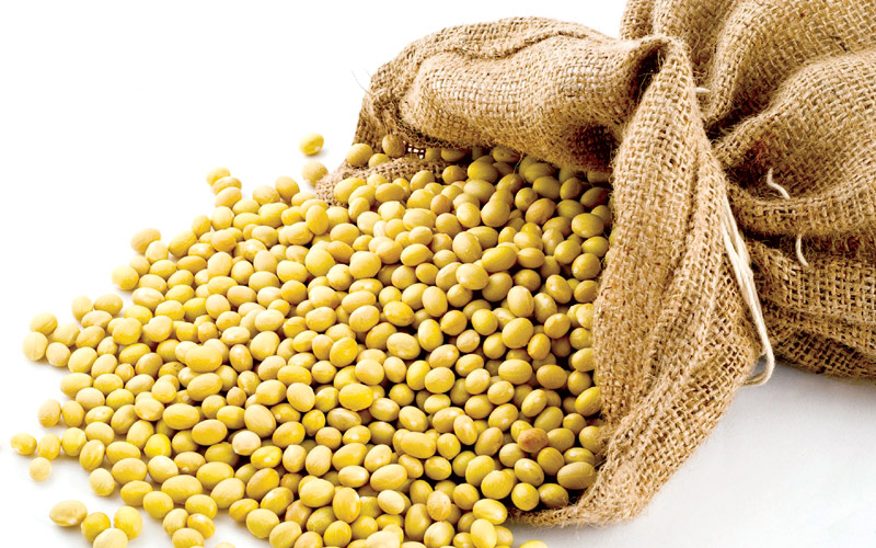 thời điểm phát triển chiều cao