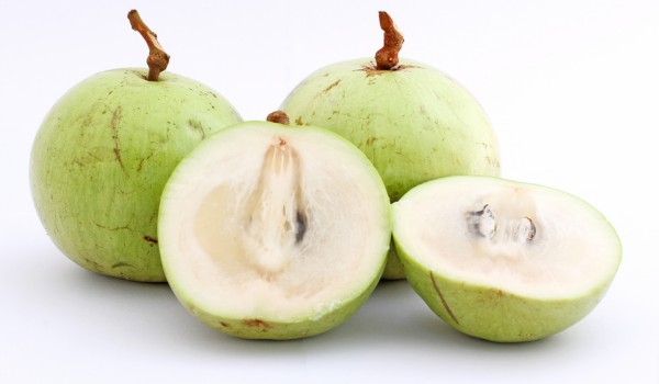 Bổ sung vú sữa giúp mẹ sau sinh lợi sữa