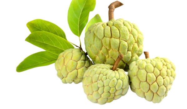 Mẹ sau sinh mổ nên ăn quả na chín