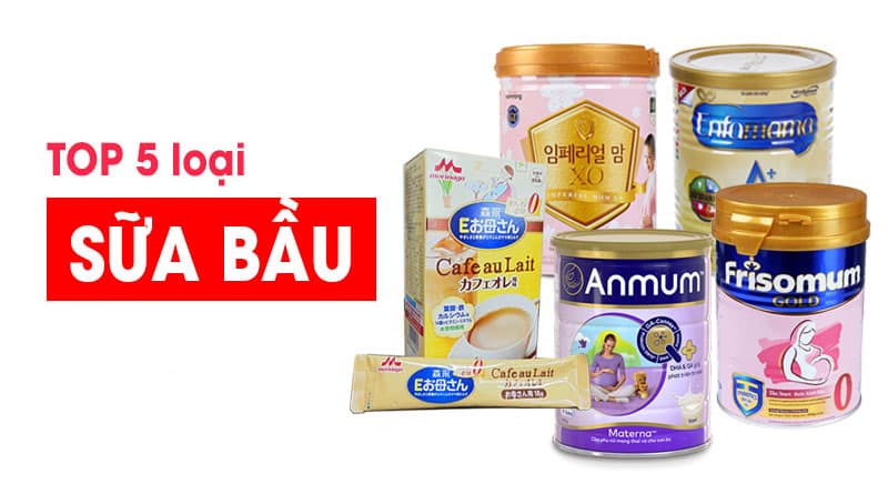 Top những loại sữa cho mẹ bầu phổ biến hiện nay Top những loại sữa cho mẹ bầu phổ biến hiện nay