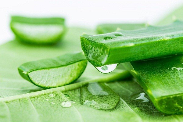 cách làm mờ vết rạn da bằng gel nha đam