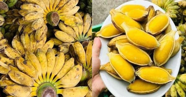 Vẻ bề ngoài chuối sáp rất dễ gây nhầm lẫn với chuối Xiêm