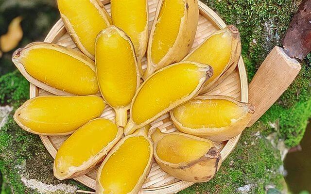 Hướng dẫn nấu chuối sáp thiệt là ngon đây