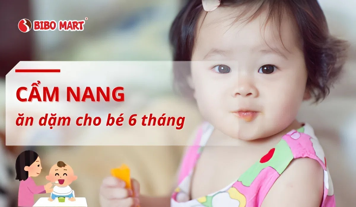 Cẩm nang tập ăn dặm cho bé 6 tháng tuổi toàn diện Cẩm nang tập ăn dặm cho bé 6 tháng tuổi toàn diện