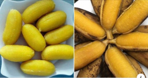 Luộc chuối sáp ăn, giảm liền 8kg trong 1 tháng hết sạch mỡ bụng