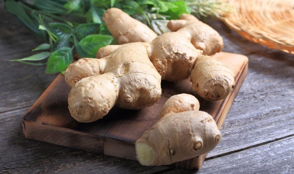 Gừng giúp mẹ giảm các triệu chứng buồn nôn trong giai đoạn ốm nghén Gừng giúp mẹ giảm các triệu chứng buồn nôn trong giai đoạn ốm nghén