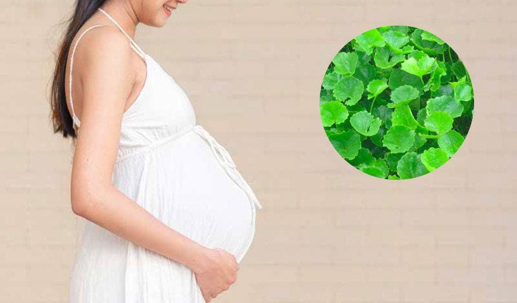 Rau má giúp lợi sữa Rau má giúp sữa mẹ về nhiều