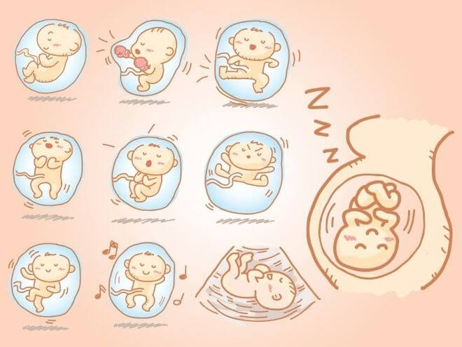 Việc thai nhi đạp nhiều hay ít còn phụ thuộc vào giới tính Việc thai nhi đạp nhiều hay ít còn phụ thuộc vào giới tính