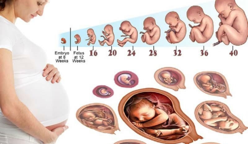 Lưu ý các mốc khám thai quan trọng trong thai kỳ Lưu ý các mốc khám thai quan trọng trong thai kỳ