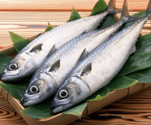Cá thu chứa hàm lượng Omega 3 rất cao