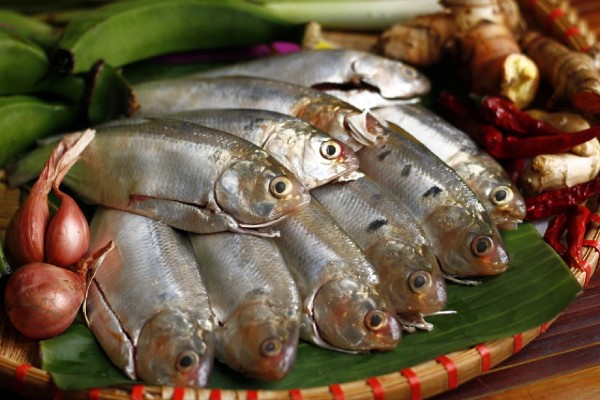 Cá mòi chứa hàm lượng Omega 3 ấn tượng