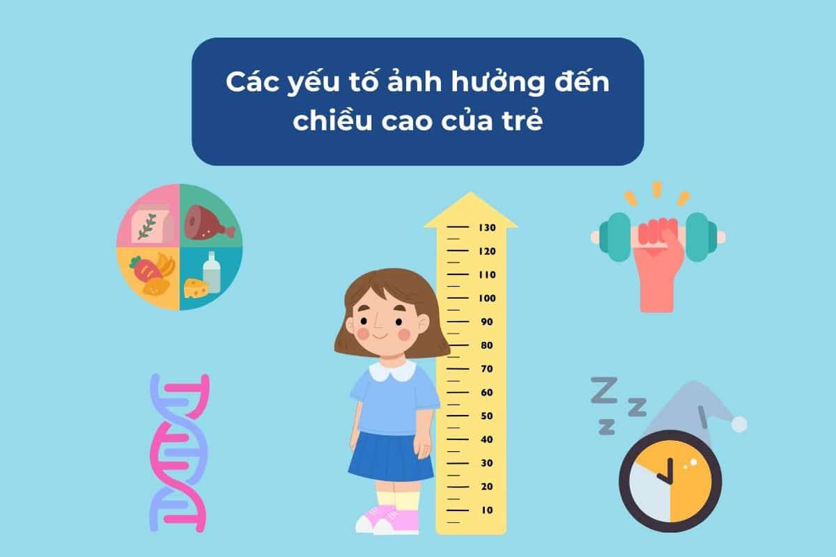 Những yếu tố ảnh hưởng chiều cao của bé Những yếu tố ảnh hưởng chiều cao của bé