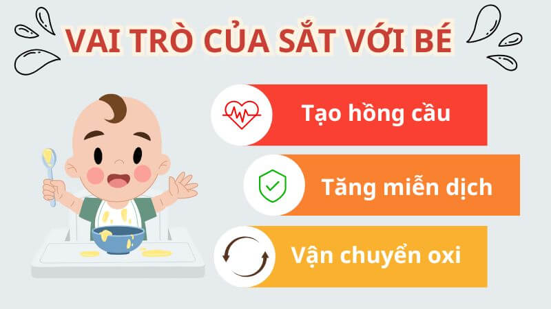 Vai trò của sắt đối với cơ thể non nớt của trẻ Vai trò của sắt đối với cơ thể non nớt của trẻ