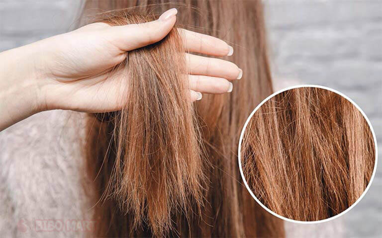 Phục hồi và nuôi dưỡng tóc hư tổn Phục hồi và nuôi dưỡng tóc hư tổn