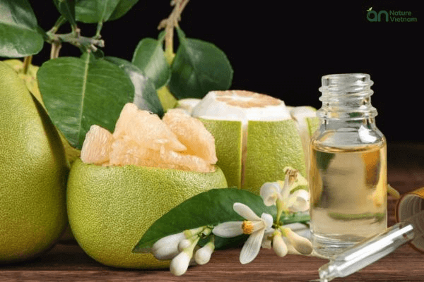 Tinh dầu bưởi tự nhiên tốt cho sức khỏe và sắc đẹp