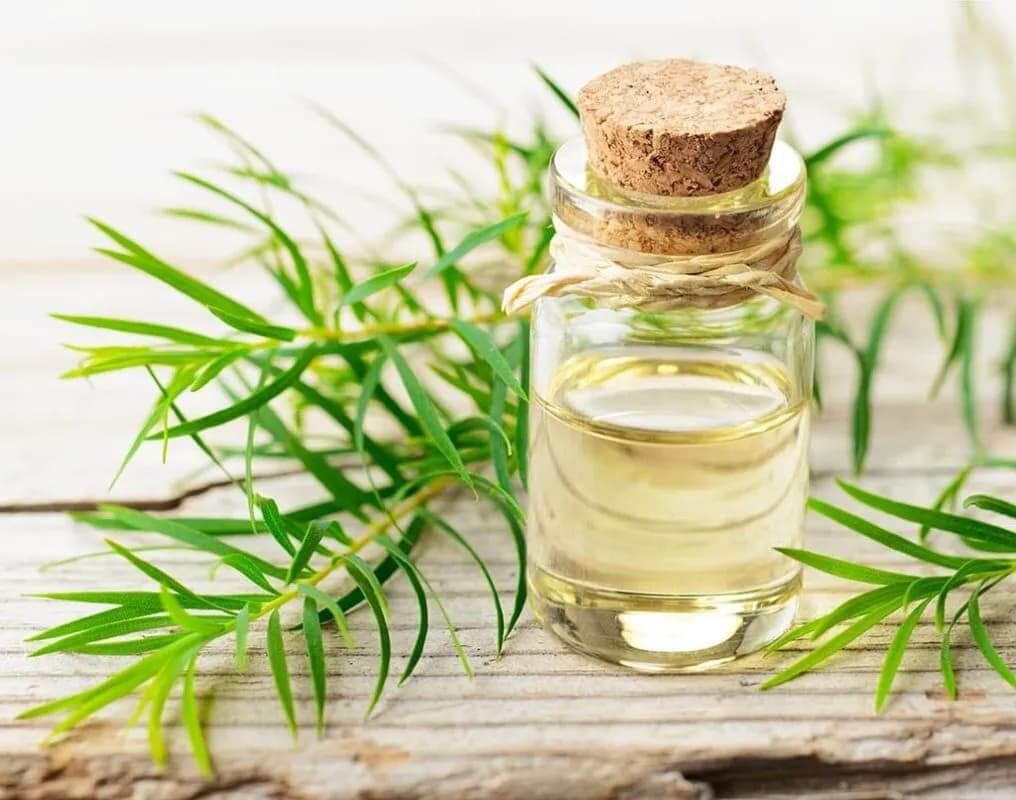 Xua đuổi muỗi và côn trùng