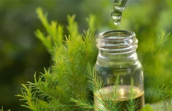 Hỗ trợ điều trị ho, nghẹt mũi
