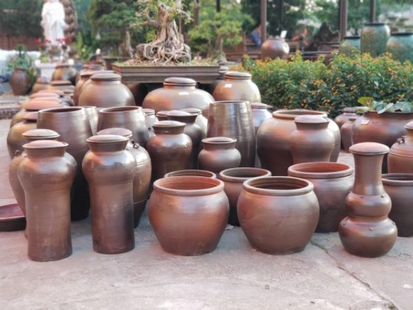 Lựa chọn bình phù hợp với kích thước cành đào