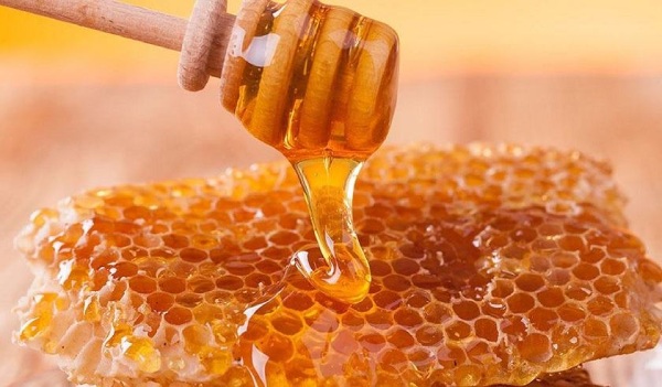 Bôi sáp ong lên cành đào giúp giảm sự mất nước
