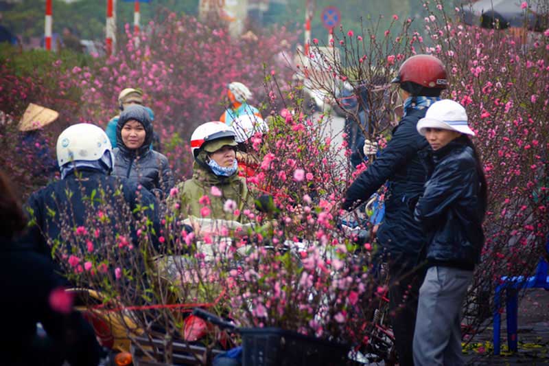 Dự báo thời tiết Tết nguyên đán 2025 mới nhất