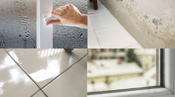 Hiện tượng nhà bị nồm