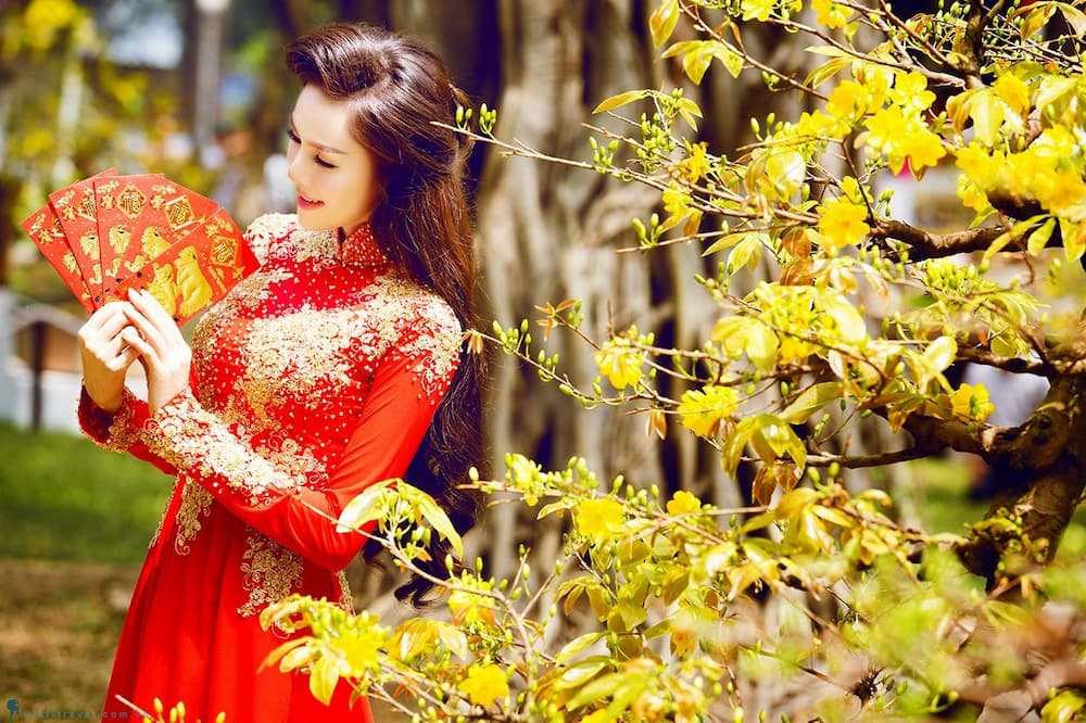 Nên chọn những trang phục có màu sắc tươi sáng, rực rỡ cho dịp khai xuân đầu năm