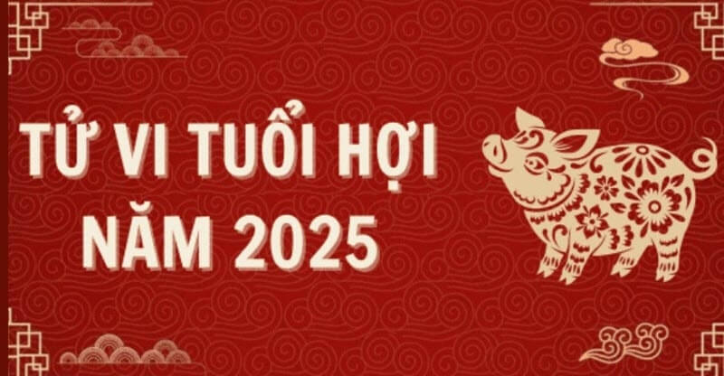 Một năm đầy biến động của người tuổi Hợi