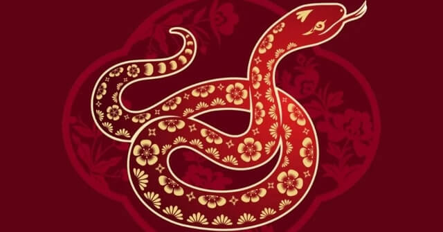 Tổng quan tử vi 2025