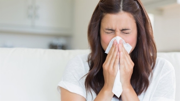 Vi khuẩn dễ dàng sinh sôi trong điều kiện không khí ẩm mốc