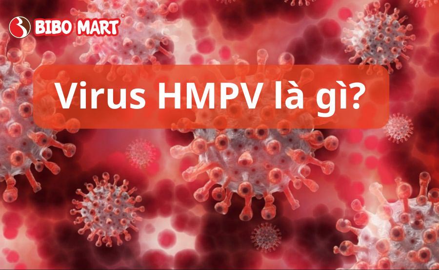 virus hmpv