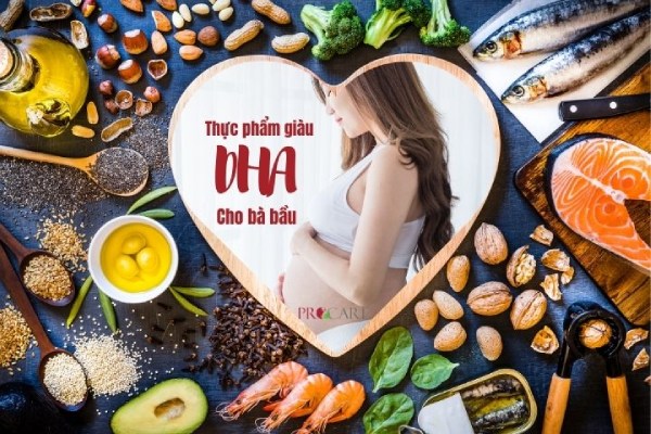 Nhóm thực phẩm giàu DHA cho bà bầu
