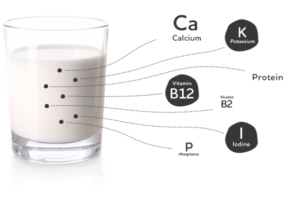 Vitamin và khoáng chất có trong sữa non cho trẻ sơ sinh
