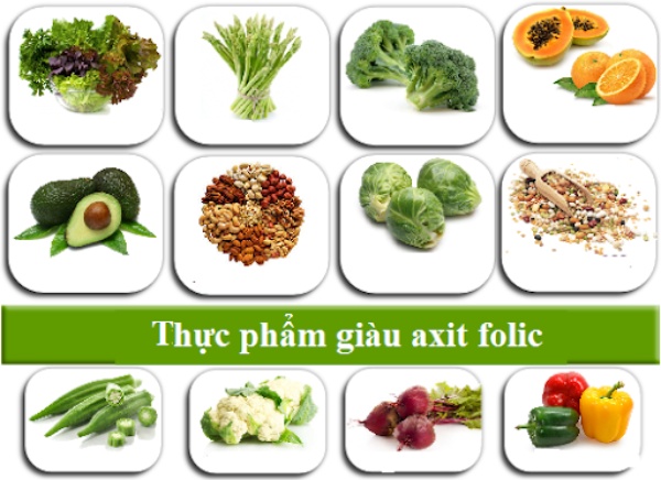 Các loại thực phẩm giàu Axit Folic