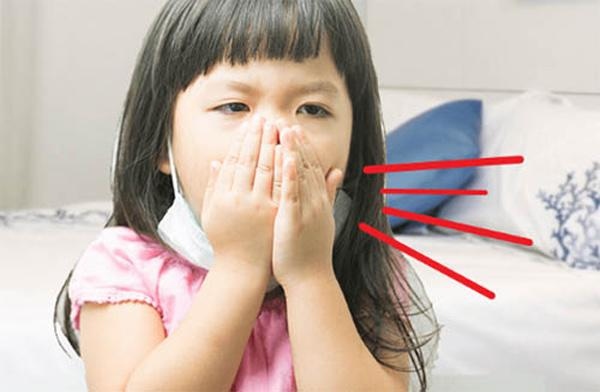 Virus cúm A chủ yếu lây lan theo đường hô hấp
