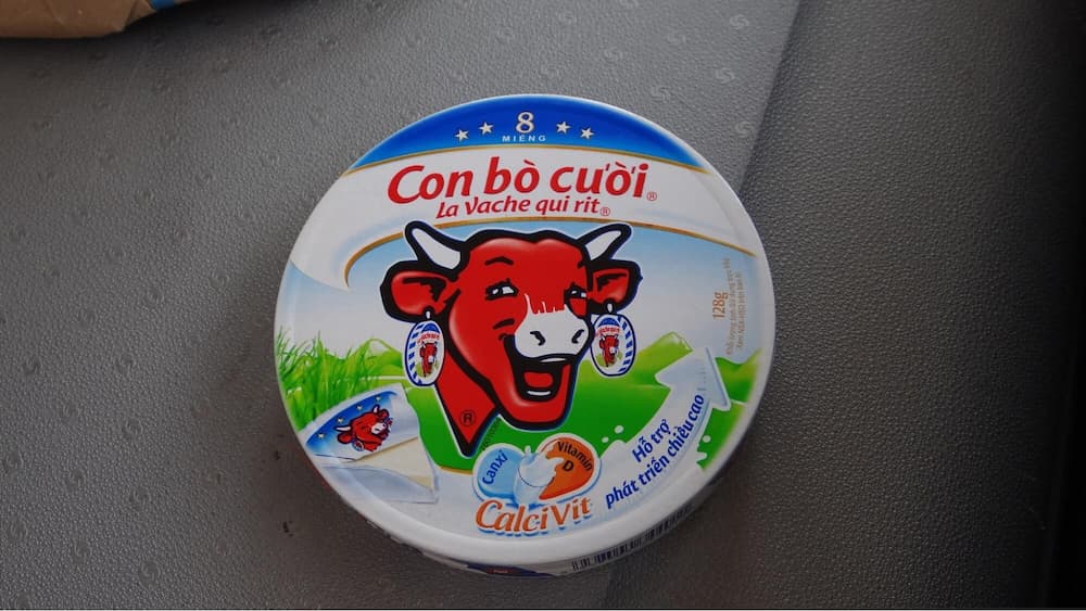 Con Bò Cười trở nên vô cùng quen thuộc với mọi người