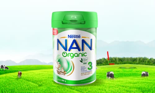 Nan Organic milk
