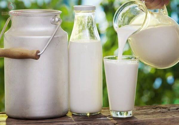 Tìm hiểu sữa tươi là gì