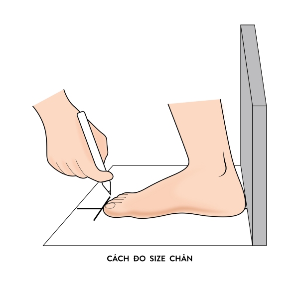 Đo chiều chân trên giấy