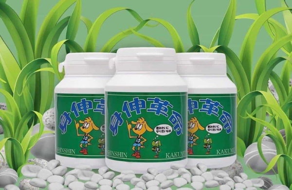 Tảo tăng chiều cao của Nhật Shinshin Kakumei