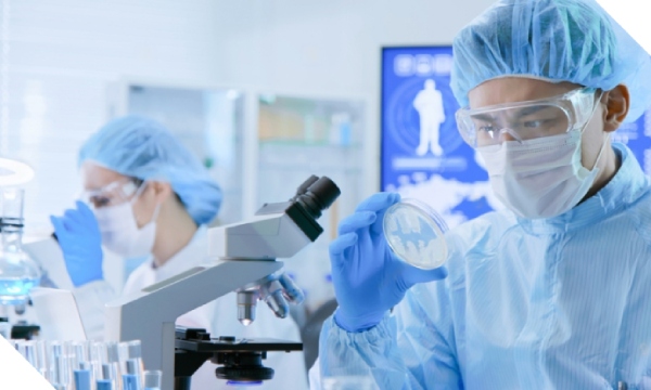 Dây chuyền sản xuất hiện đại và kiểm soát chất lượng nghiêm ngặt