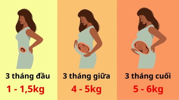 Bảng cân nặng thai kỳ chuẩn theo từng tam cá thể cho mẹ bầu
