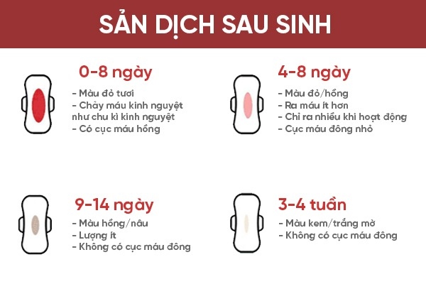 Sản dịch sau sinh sẽ giảm dần theo từng giai đoạn