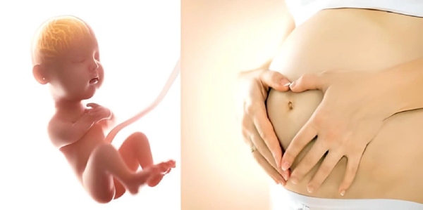 Thai máy xuất hiện từ tuần thứ 18 của thai kỳ