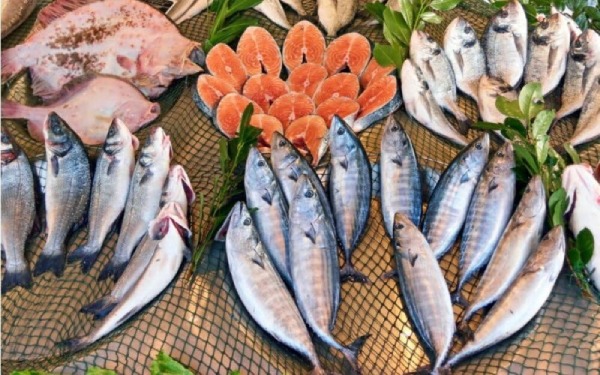 Mẹ sau sinh nên kiêng thực phẩm có hàm lượng thủy ngân cao