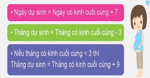 Công thức tính ngày dự sinh chính xác cho mẹ bầu